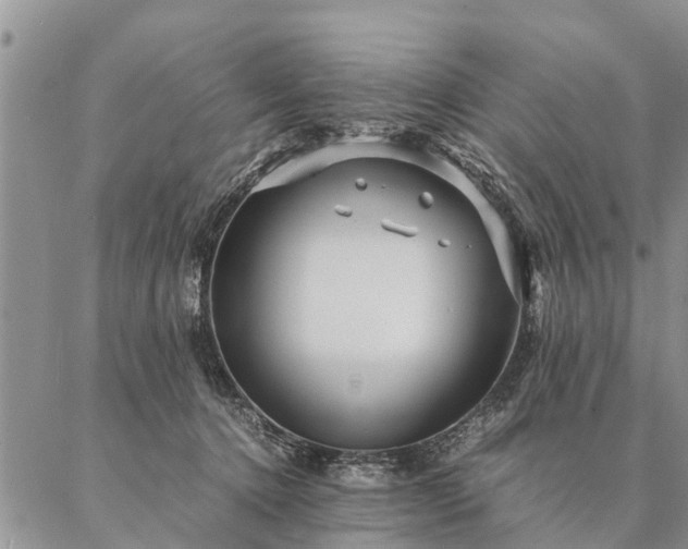 X0000087390368200704271628