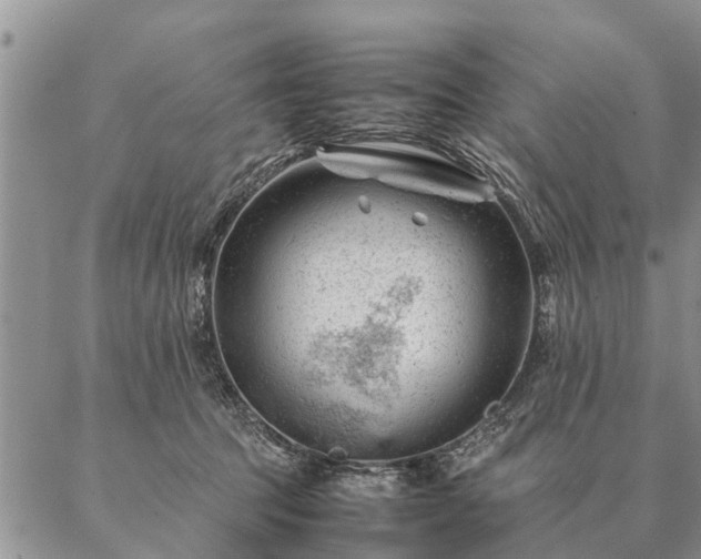 X0000087390369200704271628