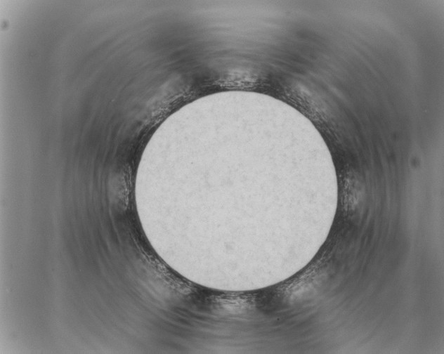 X0000087390370200704271628