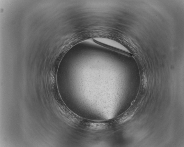 X0000087390371200704271628