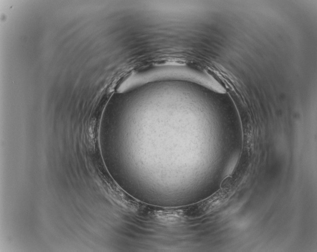 X0000087390373200704271628