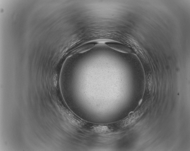 X0000087390374200704271628