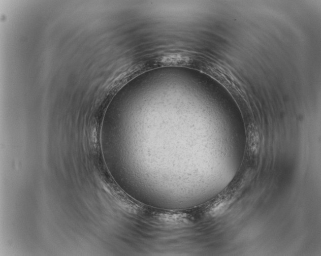 X0000087390375200704271628