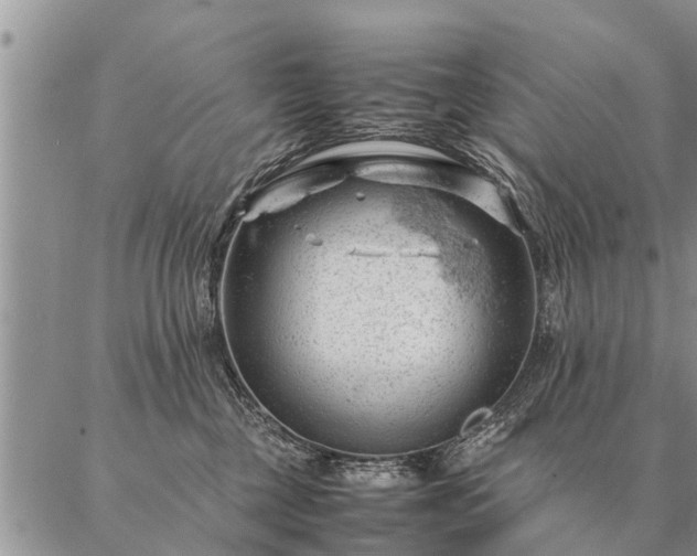 X0000087390377200704271628