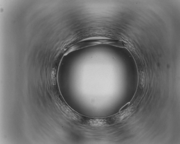 X0000087390378200704271628