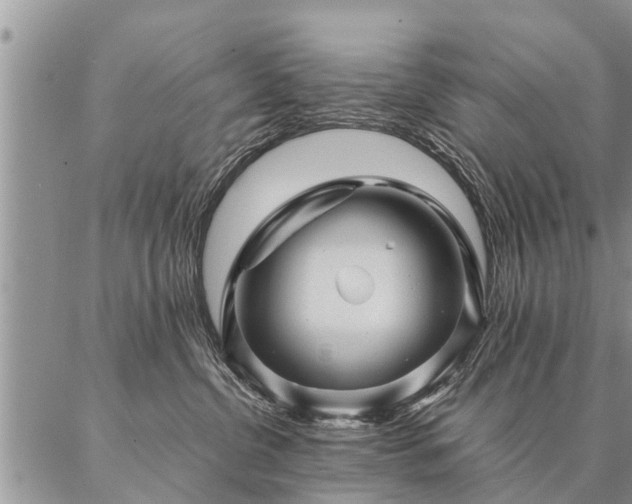 X0000087390380200704271628