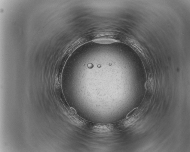 X0000087390381200704271628