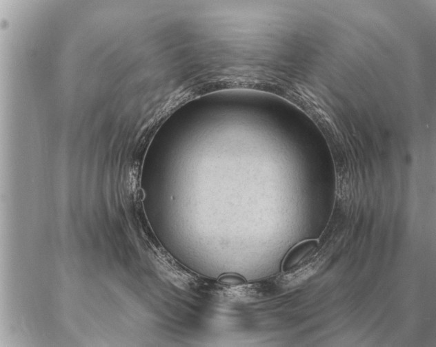 X0000087390382200704271628