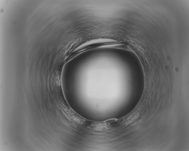 X0000087390384200704271628