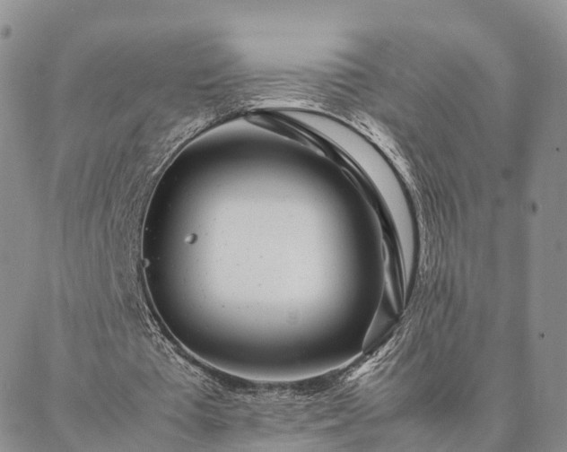 X0000087390385200704271627