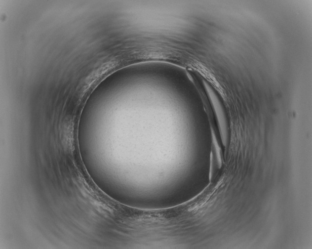 X0000087390386200704271627