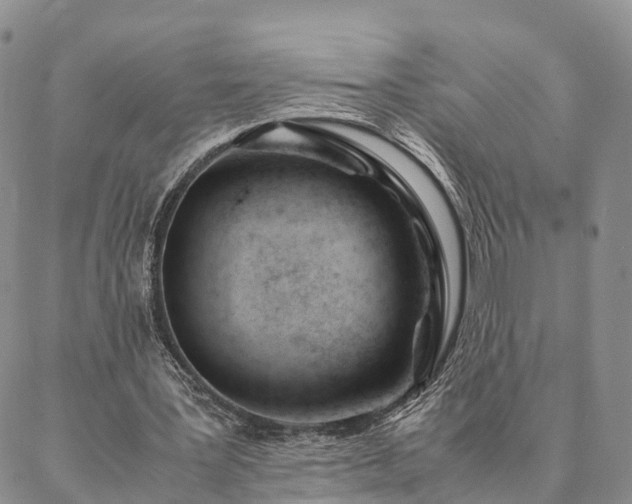 X0000087390387200704271627