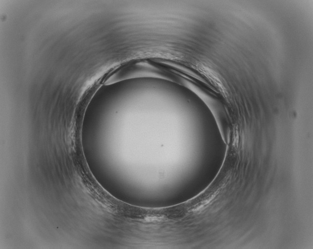 X0000087390388200704271627