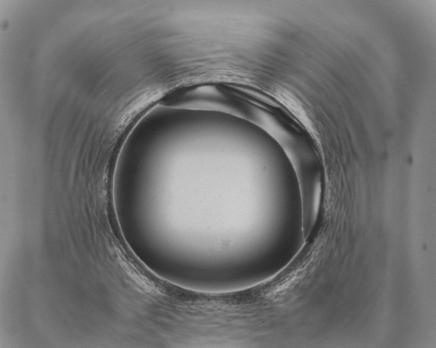 X0000087390389200704271627