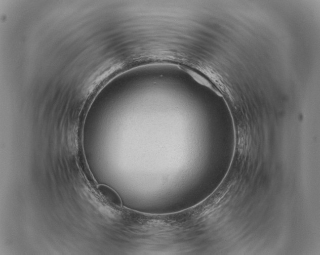 X0000087390390200704271627