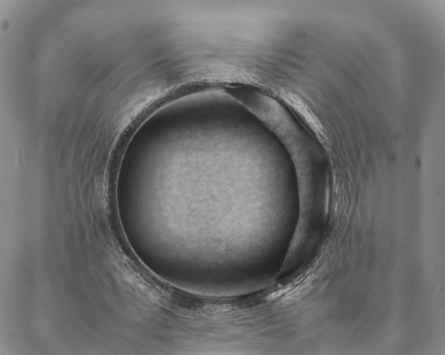 X0000087390391200704271627