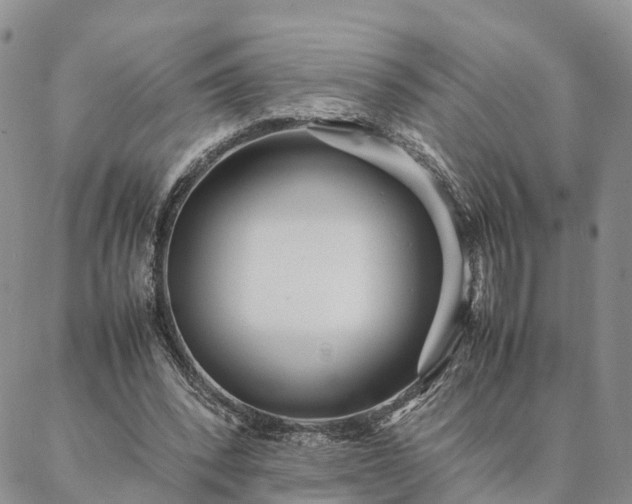 X0000087390392200704271627