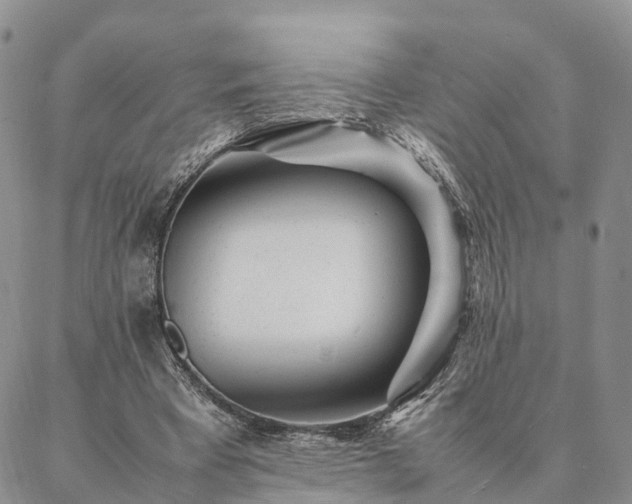 X0000087390393200704271627