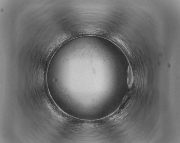 X0000087390394200704271627