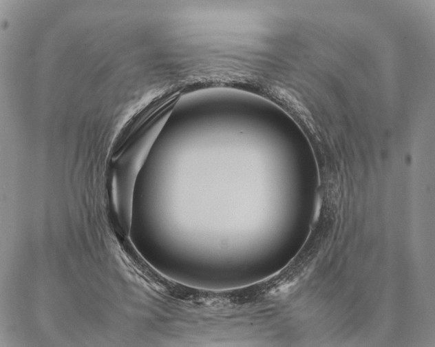 X0000087390395200704271627