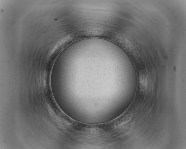 X0000087390396200704271627