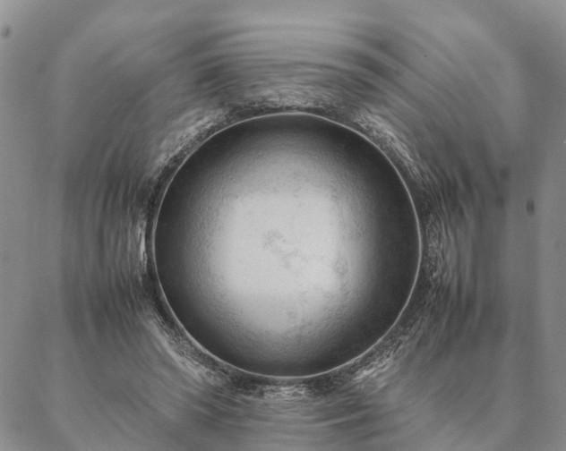 X0000087390398200704271627