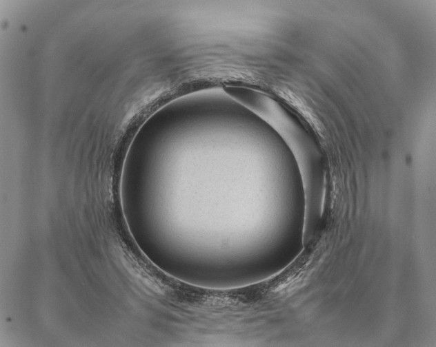 X0000087390399200704271627