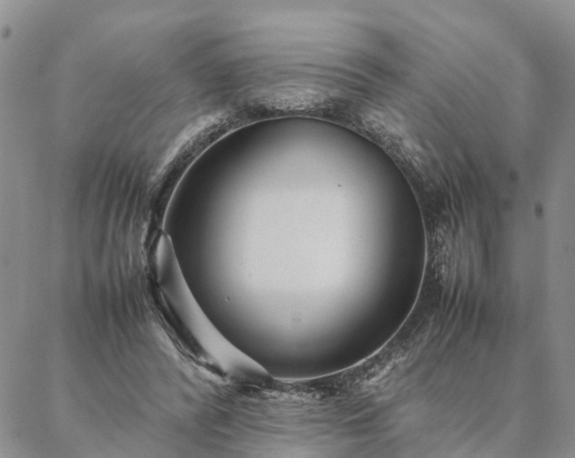 X0000087390400200704271627