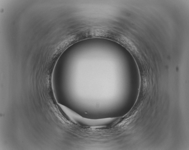 X0000087390401200704271627