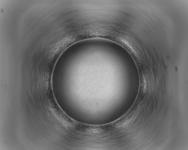 X0000087390402200704271627