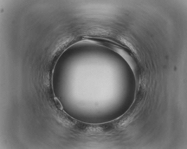 X0000087390403200704271627