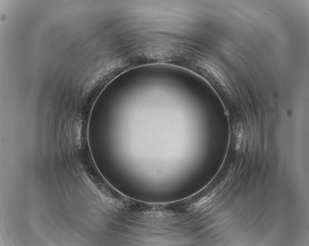 X0000087390404200704271627