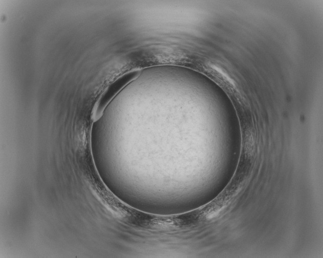 X0000087390405200704271627