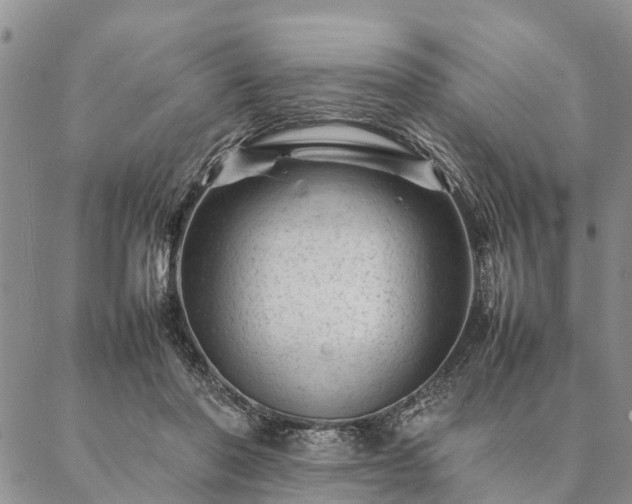 X0000087390406200704271627