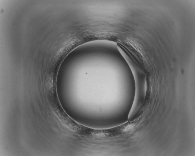 X0000087390407200704271627