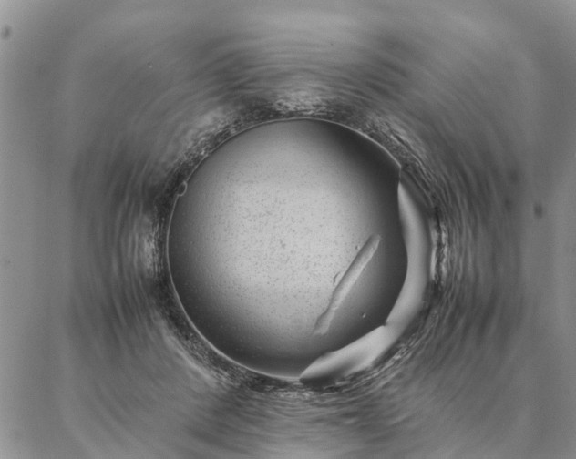 X0000087390408200704271627