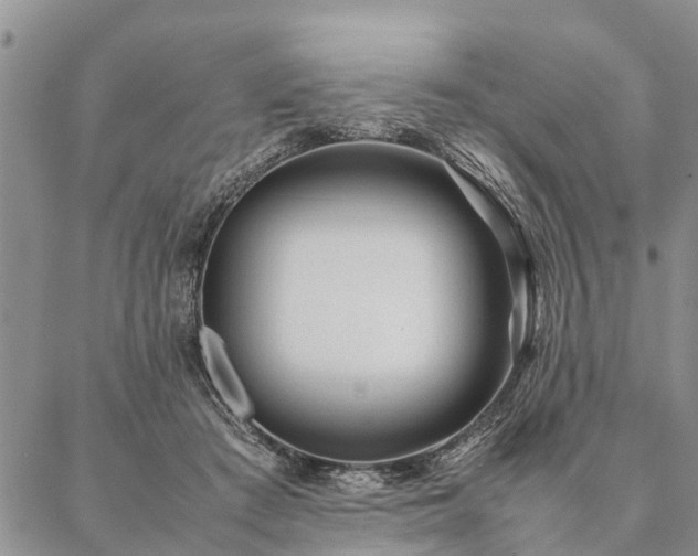 X0000087390409200704271627