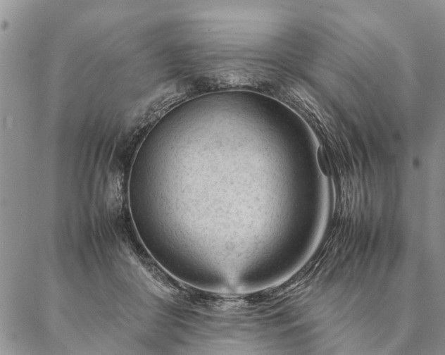 X0000087390410200704271627