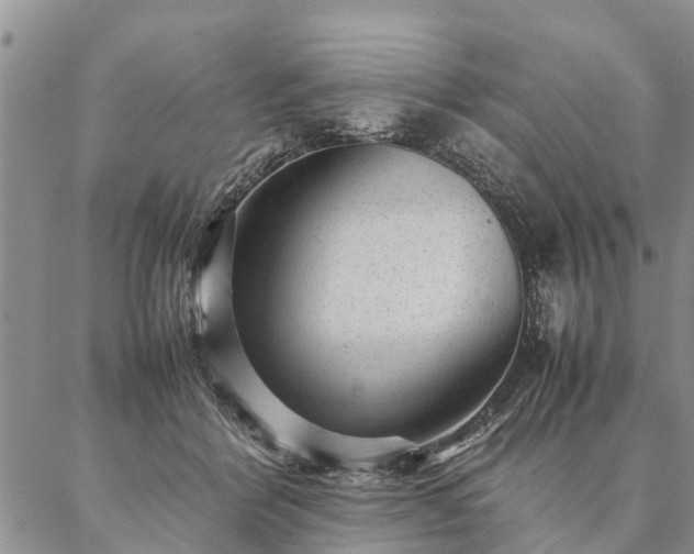 X0000087390412200704271627