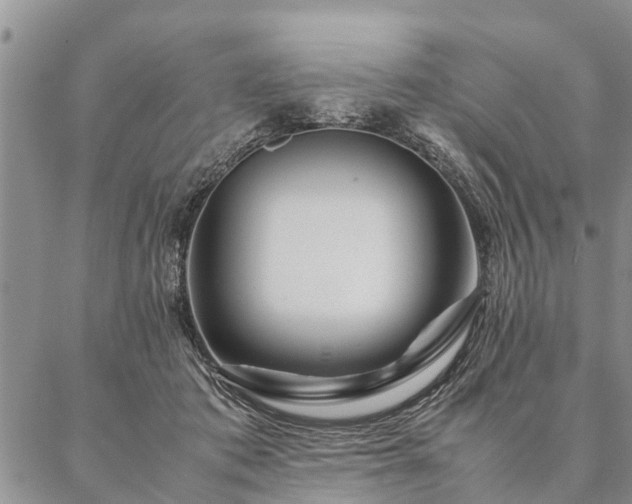 X0000087390413200704271627