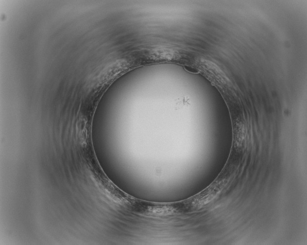 X0000087390414200704271627