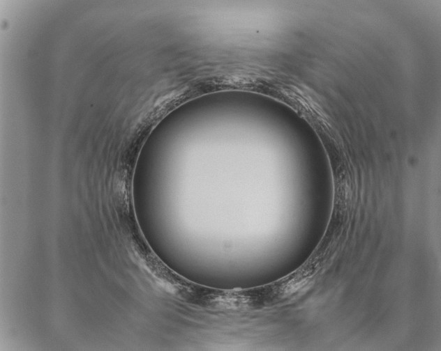 X0000087390415200704271627