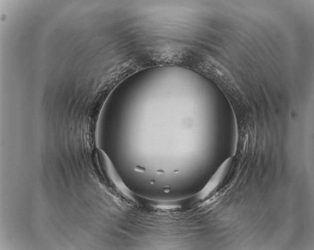 X0000087390416200704271627