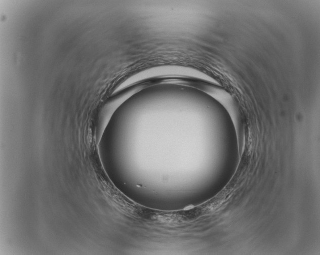 X0000087390417200704271627