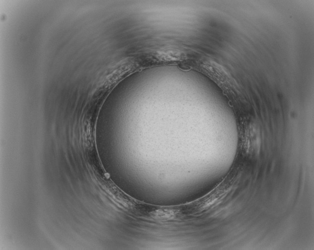 X0000087390418200704271627