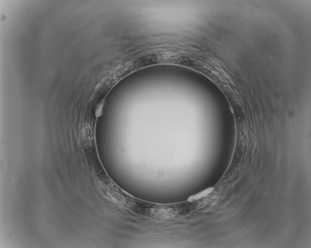 X0000087390419200704271627