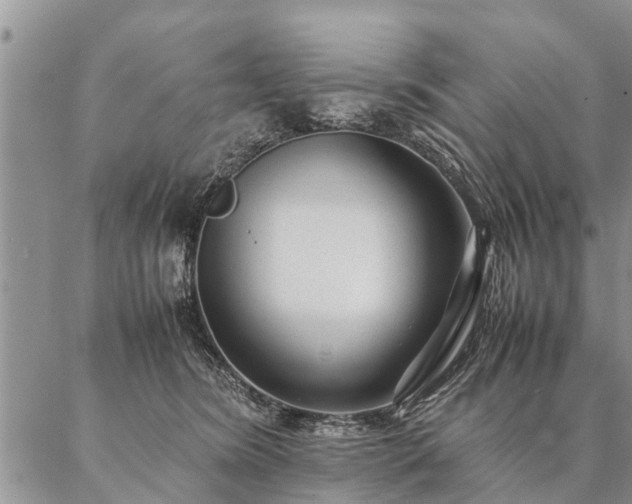 X0000087390420200704271627