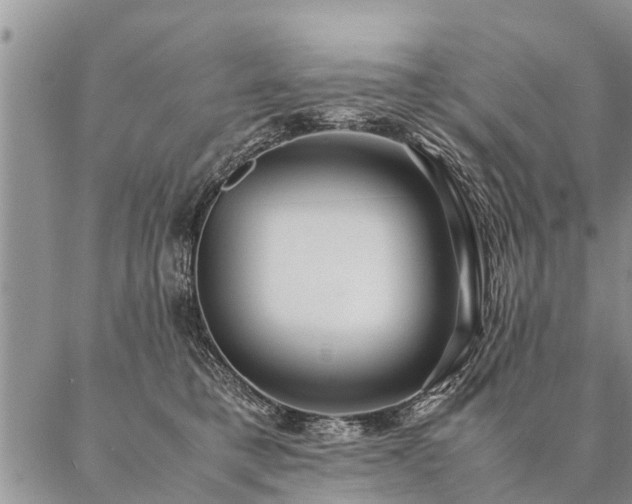 X0000087390421200704271627