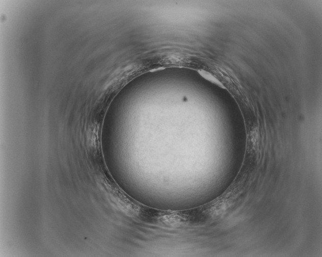 X0000087390423200704271627