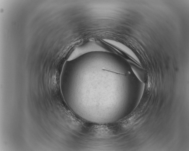 X0000087390424200704271627